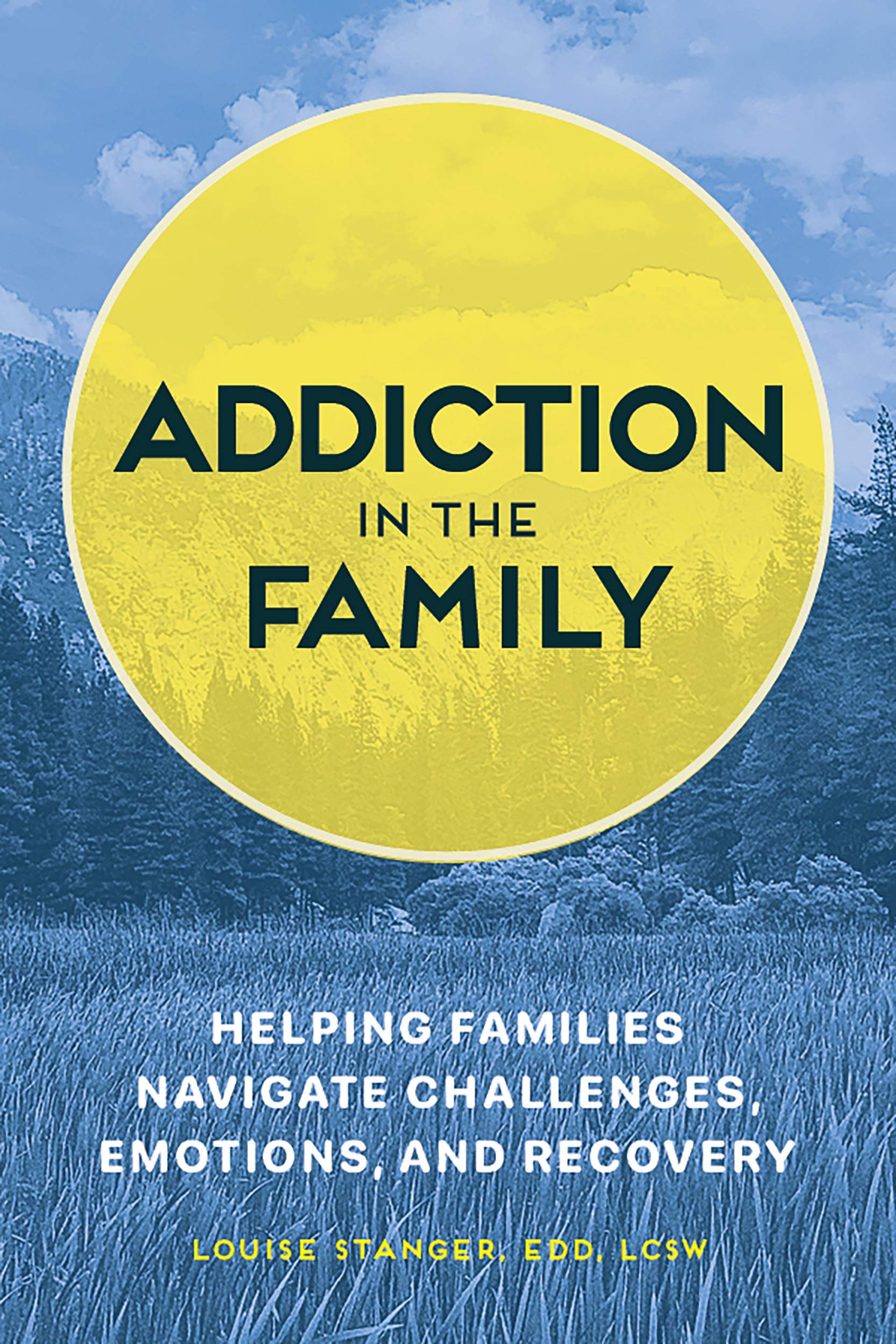 Addiction In The Family by Louise Stanger