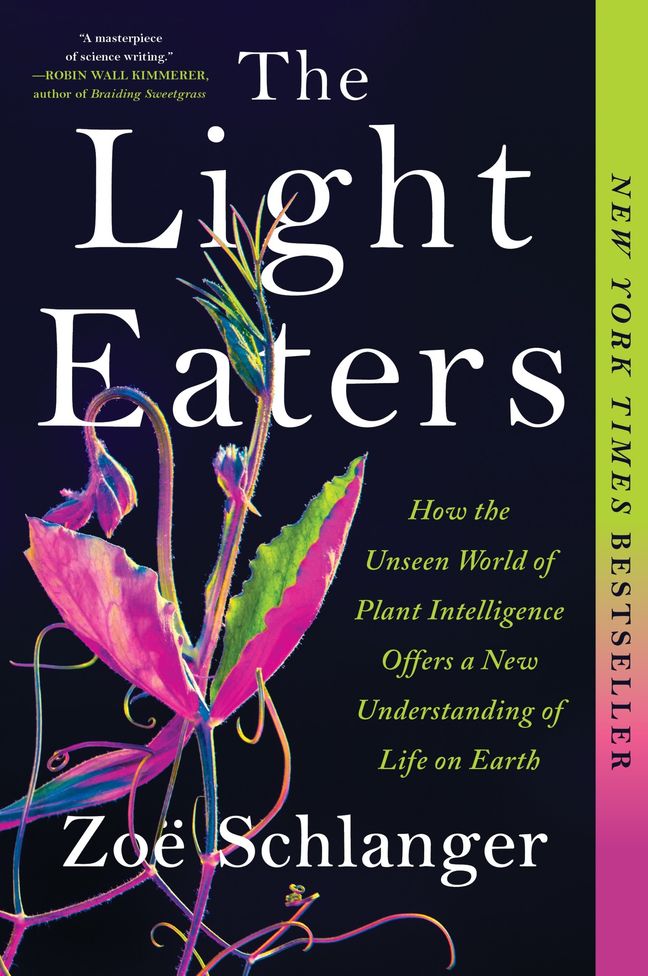The Light Eaters by Zoe Schlanger
